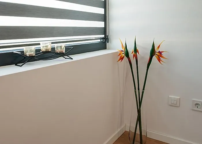 College Flat - Wi-fi With 600 Mbit Speed