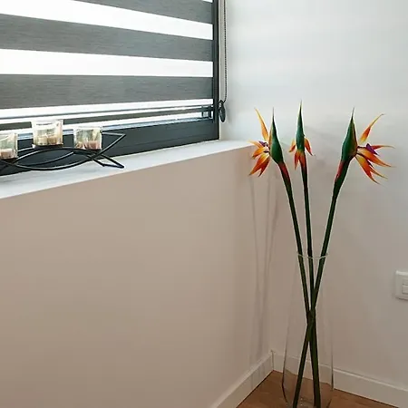 College Flat - Wi-fi With 600 Mbit Speed